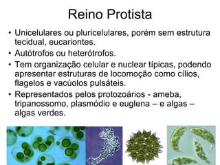 Reino Protista 
•Unicelulares ou pluricelulares, porém sem estrutura tecidual, eucariontes. 
•Autótrofos ou heterótrofos. 
•Tem organização celular e nuclear típicas, podendo apresentar estruturas de locomoção como cílios, flagelos e vacúolos pulsáteis. 
•Representados pelos protozoários - ameba, tripanossomo, plasmódio e euglena – e algas – algas verdes.  