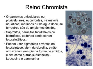 Reino Chromista 
• Organismos unicelulares ou 
pluricelulares, eucariontes, na maioria 
aquáticos, marinhos ou de água doce, se 
terrestres são de ambientes úmidos. 
• Saprófitos, parasitos facultativos ou 
biotróficos, podendo ainda serem 
fotossintéticos. 
• Podem usar pigmentos diversos na 
fotossíntese, além da clorofila, e não 
armazenam energia na forma de amidos, 
e sim como outras substâncias - 
Leucosina e Laminarina 
 