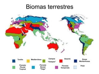 Biomas terrestres 
Tundra 
Floresta Pluvial Tropical 
Floresta Boreal “Taiga” 
Floresta 
Temperada 
Polar 
Mediterrâneo 
Campos “Estepes” 
Zonas Montanhosas 
Deserto  