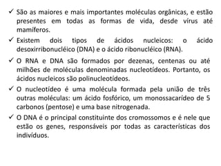  São as maiores e mais importantes moléculas orgânicas, e estão
presentes em todas as formas de vida, desde vírus até
mamíferos.
 Existem dois tipos de ácidos nucleicos: o ácido
desoxirribonucléico (DNA) e o ácido ribonucléico (RNA).
 O RNA e DNA são formados por dezenas, centenas ou até
milhões de moléculas denominadas nucleotídeos. Portanto, os
ácidos nucleicos são polinucleotídeos.
 O nucleotídeo é uma molécula formada pela união de três
outras moléculas: um ácido fosfórico, um monossacarídeo de 5
carbonos (pentose) e uma base nitrogenada.
 O DNA é o principal constituinte dos cromossomos e é nele que
estão os genes, responsáveis por todas as características dos
indivíduos.
 