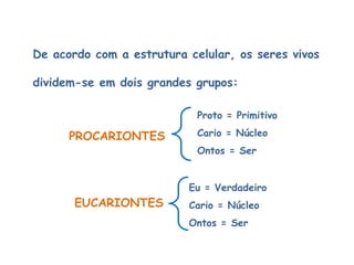 De acordo com a estrutura celular, os seres vivos
dividem-se em dois grandes grupos:
PROCARIONTES
Proto = Primitivo
Cario = Núcleo
Ontos = Ser
EUCARIONTES
Eu = Verdadeiro
Cario = Núcleo
Ontos = Ser
 
