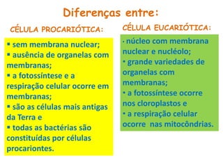 Diferenças entre:
CÉLULA PROCARIÓTICA:
 sem membrana nuclear;
 ausência de organelas com
membranas;
 a fotossíntese e a
respiração celular ocorre em
membranas;
 são as células mais antigas
da Terra e
 todas as bactérias são
constituídas por células
procariontes.
CÉLULA EUCARIÓTICA:
• núcleo com membrana
nuclear e nucléolo;
• grande variedades de
organelas com
membranas;
• a fotossíntese ocorre
nos cloroplastos e
• a respiração celular
ocorre nas mitocôndrias.
 
