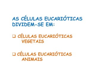 AS CÉLULAS EUCARIÓTICAS
DIVIDEM-SE EM:
 CÉLULAS EUCARIÓTICAS
VEGETAIS
 CÉLULAS EUCARIÓTICAS
ANIMAIS
 