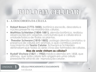 1 - A DESCOBERTA DA CÉLULA
 Robert Brown (1773-1858), botânico escocês, descobriu o
núcleo presente na maioria das células.
 Matthias Schleiden (1804-1881), alemão botânico, realizou
observações em vegetais, concluindo que a célula era a
unidade básica de todas as plantas.
 Theodor Schwann (1810-1882) zoólogo alemão constatou a
presença de células em animais, o que contribuiu para o
nascimento da Teoria Celular. Schwann e Schleiden
defendiam que todos os seres vivos são formados de células.
Mas de onde vinham as células?
 Rudolf Virchow (1821 – 1902) médico alemão em 1858, que
afirmou que toda célula tem origem em uma célula
preexistente através de reprodução celular.
 