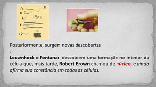 Posteriormente, surgem novas descobertas
.
Leuwnhock e Fontana: descobrem uma formação no interior da
célula que, mais tarde, Robert Brown chamou de núcleo, e ainda
afirma sua constância em todas as células.
 