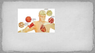 Aula 1  biologia e histologia