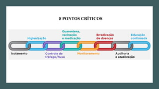 8 PONTOS CRÍTICOS
 