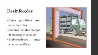 • Cerca periférica com
entrada única
• Sistema de desinfecção
de pessoas e veículos
• Embarcadouro junto
à cerca periférica
Desinfecções
 