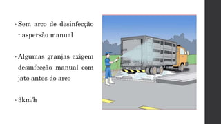 • Sem arco de desinfecção
- aspersão manual
• Algumas granjas exigem
desinfecção manual com
jato antes do arco
• 3km/h
 