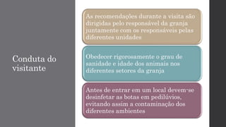 Conduta do
visitante
As recomendações durante a visita são
dirigidas pelo responsável da granja
juntamente com os responsáveis pelas
diferentes unidades
Obedecer rigorosamente o grau de
sanidade e idade dos animais nos
diferentes setores da granja
Antes de entrar em um local devem-se
desinfetar as botas em pedilúvios,
evitando assim a contaminação dos
diferentes ambientes
 
