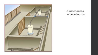• Comedouros
e bebedouros
 