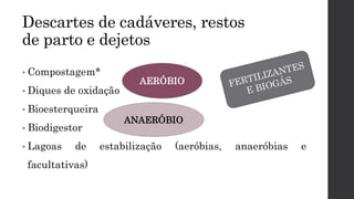 • Compostagem*
• Diques de oxidação
• Bioesterqueira
• Biodigestor
• Lagoas de estabilização (aeróbias, anaeróbias e
facultativas)
Descartes de cadáveres, restos
de parto e dejetos
AERÓBIO
ANAERÓBIO
 