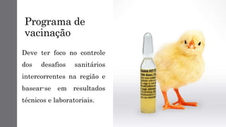 Programa de
vacinação
Deve ter foco no controle
dos desafios sanitários
intercorrentes na região e
basear-se em resultados
técnicos e laboratoriais.
 