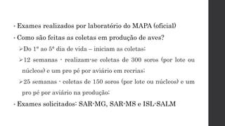 • Exames realizados por laboratório do MAPA (oficial)
• Como são feitas as coletas em produção de aves?
Do 1° ao 5° dia de vida – iniciam as coletas;
12 semanas - realizam-se coletas de 300 soros (por lote ou
núcleos) e um pro pé por aviário em recrias;
25 semanas - coletas de 150 soros (por lote ou núcleos) e um
pro pé por aviário na produção;
• Exames solicitados: SAR-MG, SAR-MS e ISL-SALM
 