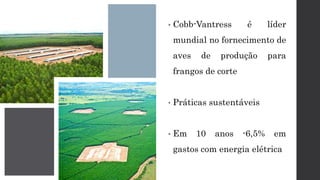 • Cobb-Vantress é líder
mundial no fornecimento de
aves de produção para
frangos de corte
• Práticas sustentáveis
• Em 10 anos -6,5% em
gastos com energia elétrica
 
