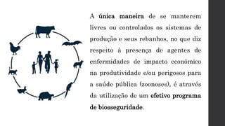 A única maneira de se manterem
livres ou controlados os sistemas de
produção e seus rebanhos, no que diz
respeito à presença de agentes de
enfermidades de impacto econômico
na produtividade e/ou perigosos para
a saúde pública (zoonoses), é através
da utilização de um efetivo programa
de biosseguridade.
 