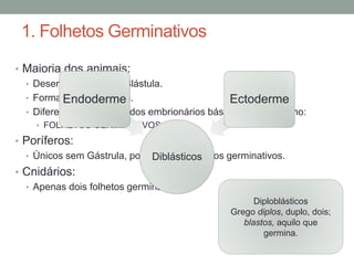 1. Folhetos Germinativos 
• Maioria dos animais: 
• Desenvolvimento da Blástula. 
• Formação Endoderme da Gástrula. 
Ectoderme 
• Diferenciação dos tecidos embrionários básicos do organismo: 
• FOLHETOS GERMINATIVOS. 
• Poríferos: 
• Únicos sem Gástrula, portanto sem folhetos germinativos. 
• Cnidários: 
Diblásticos 
• Apenas dois folhetos germinativos. 
Diploblásticos 
Grego diplos, duplo, dois; 
blastos, aquilo que 
germina. 
 