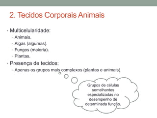 2. Tecidos Corporais Animais 
• Multicelularidade: 
• Animais. 
• Algas (algumas). 
• Fungos (maioria). 
• Plantas. 
• Presença de tecidos: 
• Apenas os grupos mais complexos (plantas e animais). 
Grupos de células 
semelhantes 
especializadas no 
desempenho de 
determinada função. 
 