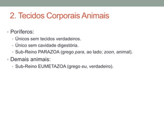 2. Tecidos Corporais Animais 
• Poríferos: 
• Únicos sem tecidos verdadeiros. 
• Único sem cavidade digestória. 
• Sub-Reino PARAZOA (grego para, ao lado; zoon, animal). 
• Demais animais: 
• Sub-Reino EUMETAZOA (grego eu, verdadeiro). 
 