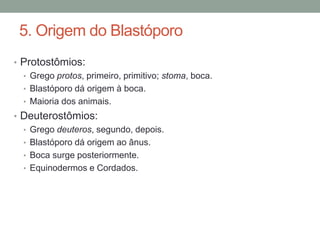 5. Origem do Blastóporo 
• Protostômios: 
• Grego protos, primeiro, primitivo; stoma, boca. 
• Blastóporo dá origem à boca. 
• Maioria dos animais. 
• Deuterostômios: 
• Grego deuteros, segundo, depois. 
• Blastóporo dá origem ao ânus. 
• Boca surge posteriormente. 
• Equinodermos e Cordados. 
 