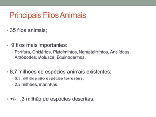 Principais Filos Animais 
• 35 filos animais; 
• 9 filos mais importantes: 
• Porífera, Cnidários, Platelmintos, Nematelmintos, Anelídeos, 
Artrópodes, Molusca, Equinodermos. 
• 8,7 milhões de espécies animais existentes; 
• 6,5 milhões são espécies terrestres; 
• 2,5 milhões, marinhas. 
• +/- 1,3 milhão de espécies descritas. 
 