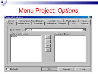 Menu Project:  Options 