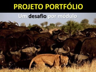 PROJETO PORTFÓLIO
Um desafio por módulo
 
