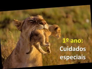 1º ano:
Cuidados
especiais
 