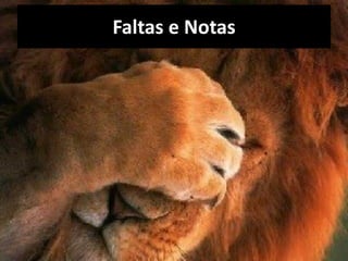 Faltas e Notas
 