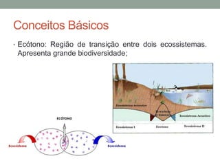 • Ecótono: Região de transição entre dois ecossistemas.
Apresenta grande biodiversidade;
Conceitos Básicos
 