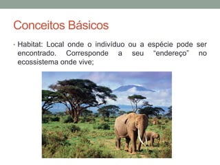 • Habitat: Local onde o indivíduo ou a espécie pode ser
encontrado. Corresponde a seu “endereço” no
ecossistema onde vive;
Conceitos Básicos
 