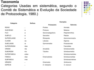 Taxonomia
Categorias Usadas em sistemática, segundo o
Comitê de Sistemática e Evolução da Sociedade
de Protozoologia, 1980.)
Categoria Sufixos
Exemplos
Protozoário Helminto
REINO ... Protista Animalia
SUB-REINO -a Protozoa Metazoa
FILO -a Sarcomastigophora Platyhelminthes
SUBFILO -a Sarcodina Platoda
SUPERCLASSE -a Rhizopoda Acercomermorpha
CLASSE -ea Labosea Digenea
SUBCLASSE -ia Gymnamoebia Prosostomata
SUPERORDEM -idea - Fasciolidea
ORDEM -Ida Amoebida Schistosomatida
SUBORDEM -ina Tubulina Schistosomatina
SUPERFAMÍLIA -oidea - Schistosomatoidea
FAMÍLIA -idae Entamoebidae Schistosomatidae
SUBFAMÍLIA -inae - Schistossomatinae
GÊNERO ... Entamoeba Schitosoma
ESPÉCIE ... E. histolytica S. mansoni
 