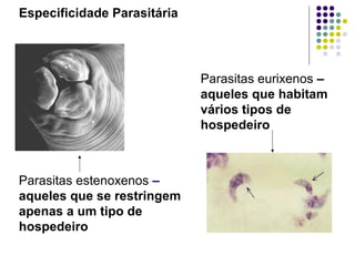 Especificidade Parasitária
Parasitas eurixenos –
aqueles que habitam
vários tipos de
hospedeiro
Parasitas estenoxenos –
aqueles que se restringem
apenas a um tipo de
hospedeiro
 
