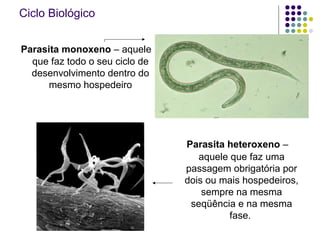 Ciclo Biológico
Parasita monoxeno – aquele
que faz todo o seu ciclo de
desenvolvimento dentro do
mesmo hospedeiro
Parasita heteroxeno –
aquele que faz uma
passagem obrigatória por
dois ou mais hospedeiros,
sempre na mesma
seqüência e na mesma
fase.
 