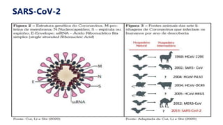 SARS-CoV-2
 