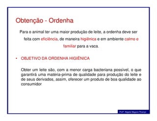 Obtenção - Ordenha
Para o animal ter uma maior produção de leite, a ordenha deve ser
feita com eficiência, de maneira higiênica e em ambiente calmo e
familiar para a vaca.
• OBJETIVO DA ORDENHA HIGIÊNICA• OBJETIVO DA ORDENHA HIGIÊNICA
Obter um leite são, com a menor carga bacteriana possível, o que
garantirá uma matéria-prima de qualidade para produção do leite e
de seus derivados, assim, oferecer um produto de boa qualidade ao
consumidor
Profa. Nágela Magave Picanço
 