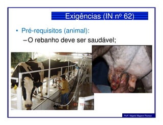 Exigências (IN no 62)
• Pré-requisitos (animal):
–O rebanho deve ser saudável;
Profa. Nágela Magave Picanço
 