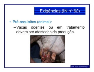 Exigências (IN no 62)
• Pré-requisitos (animal):
–Vacas doentes ou em tratamento
devem ser afastadas da produção.
Profa. Nágela Magave Picanço
 