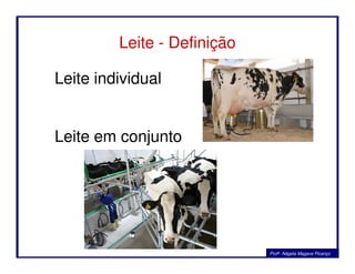 Leite - Definição
Leite individual
Leite em conjunto
Profa. Nágela Magave Picanço
Leite em conjunto
 