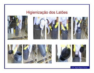 Higienização dos Latões
Profa. Nágela Magave Picanço
 