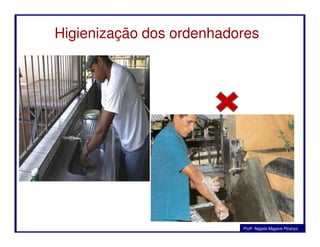 Higienização dos ordenhadores
Profa. Nágela Magave Picanço
 