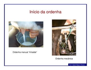 Início da ordenha
Profa. Nágela Magave Picanço
Ordenha manual “A balde”
Ordenha mecânica
 