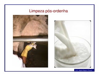 Limpeza pós-ordenha
Profa. Nágela Magave Picanço
 