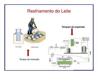 Resfriamento do Leite
Tanques de expansão
Profa. Nágela Magave Picanço
Tanque de imerssão
 