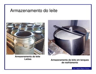 Armazenamento do leite
Profa. Nágela Magave Picanço
Armazenamento do leite
Latões Armazenamento do leite em tanques
de resfriamento
 
