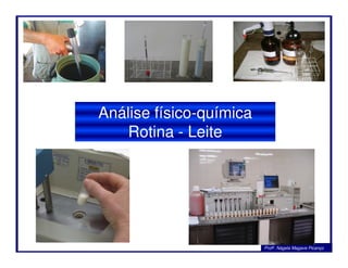 Análise físico-química
Rotina - LeiteRotina - Leite
Profa. Nágela Magave Picanço
 