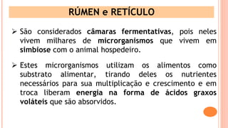Aula 1- Digestivo de ruminantes e Ambiente RumenReticulo.ppt