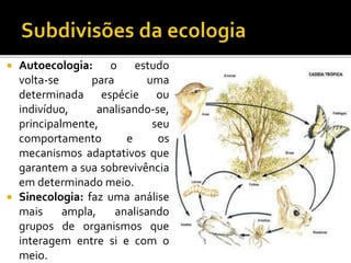  Autoecologia: o estudo
volta-se para uma
determinada espécie ou
indivíduo, analisando-se,
principalmente, seu
comportamento e os
mecanismos adaptativos que
garantem a sua sobrevivência
em determinado meio.
 Sinecologia: faz uma análise
mais ampla, analisando
grupos de organismos que
interagem entre si e com o
meio.
 
