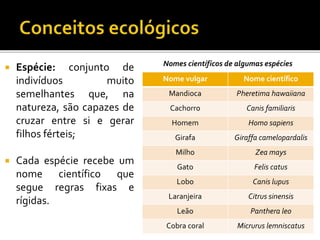  Espécie: conjunto de
indivíduos muito
semelhantes que, na
natureza, são capazes de
cruzar entre si e gerar
filhos férteis;
 Cada espécie recebe um
nome científico que
segue regras fixas e
rígidas.
Nome vulgar Nome científico
Mandioca Pheretima hawaiiana
Cachorro Canis familiaris
Homem Homo sapiens
Girafa Giraffa camelopardalis
Milho Zea mays
Gato Felis catus
Lobo Canis lupus
Laranjeira Citrus sinensis
Leão Panthera leo
Cobra coral Micrurus lemniscatus
Nomes científicos de algumas espécies
 