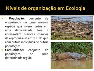  População: conjunto de
organismos de uma mesma
espécie que vivem juntos em
uma determinada área e
apresentam maiores chances
de reproduzir-se entre si do que
com outros indivíduos de outras
populações.
 Comunidade: conjunto de
populações de uma
determinada região.
 